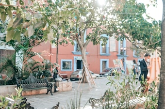 A sunny outdoor scene featuring a peaceful plaza with a mix of greenery, including trees and plants. A person is seen at an easel, possibly painting or drawing. In the background, a charming coral-colored building with blue window frames can be seen. A few parked cars and decorative benches are also visible.