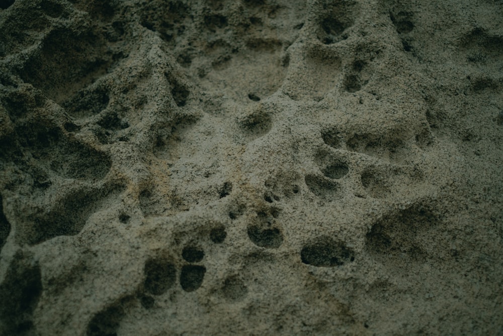 a close up of a sand surface with animal tracks
