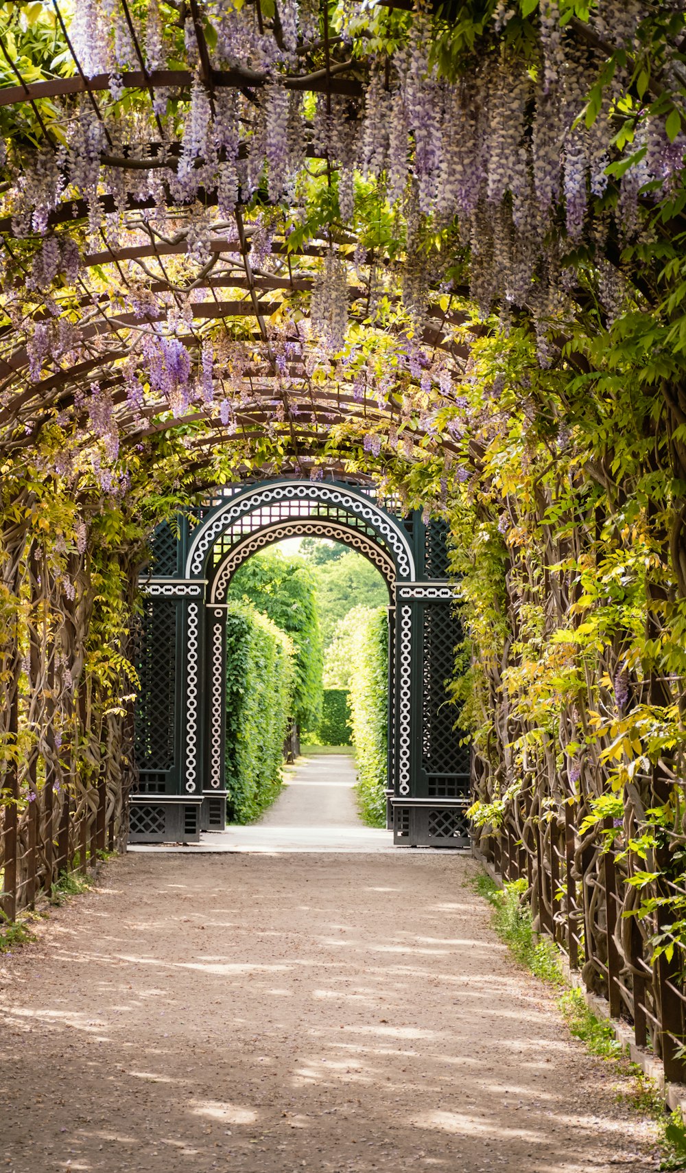 an archway with vines growing over it
