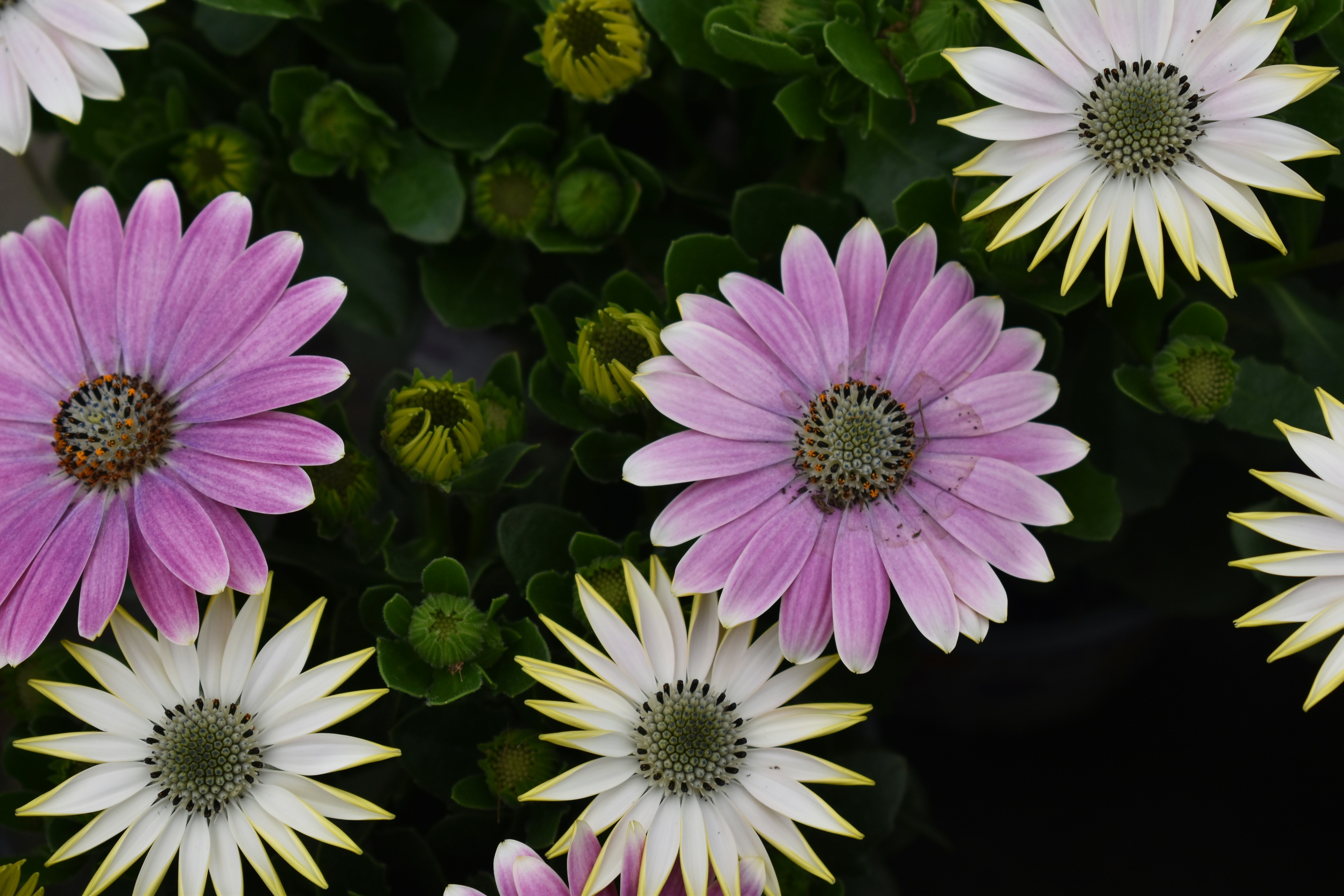 Photo by maddisoncarter