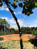 A tennis court scene with a clay surface, surrounded by lush greenery and trees. A player is visible on the court, and a backdrop of buildings with red roofs can be seen in the distance. Overhanging tree leaves frame the top of the image, casting shadows on the foreground.