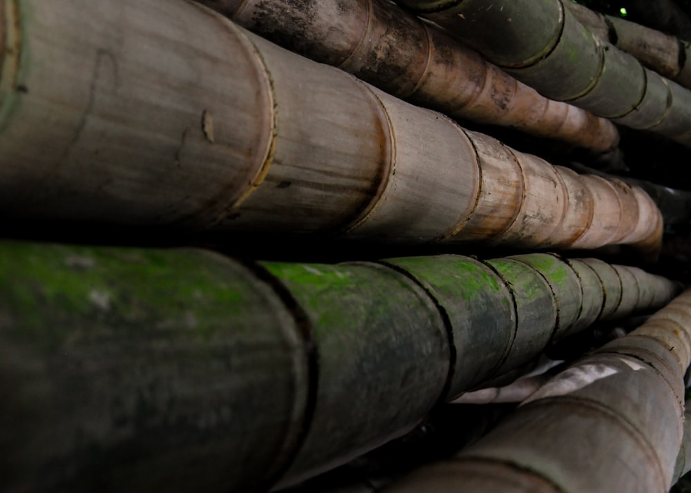 a close up of a bunch of bamboo poles