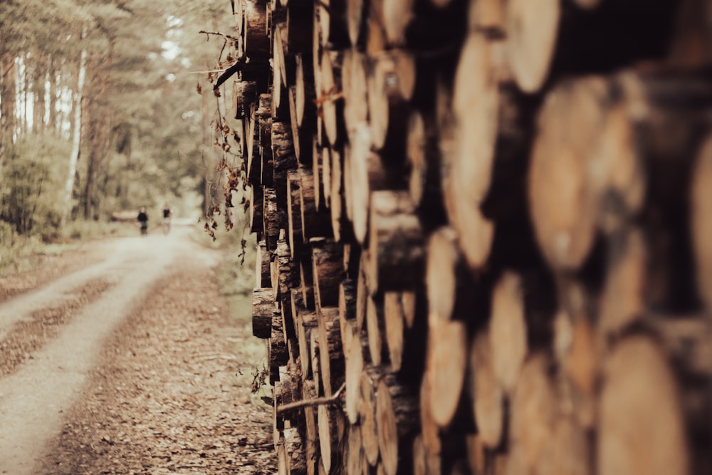 a dirt road surrounded by trees and logs