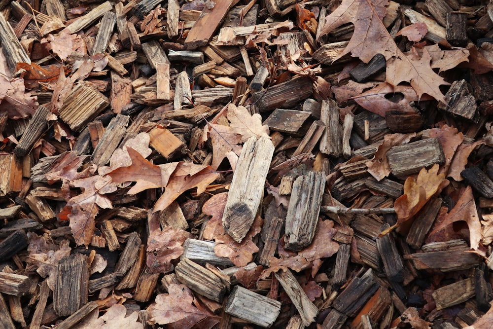 a pile of wood chips sitting on top of a pile of leaves