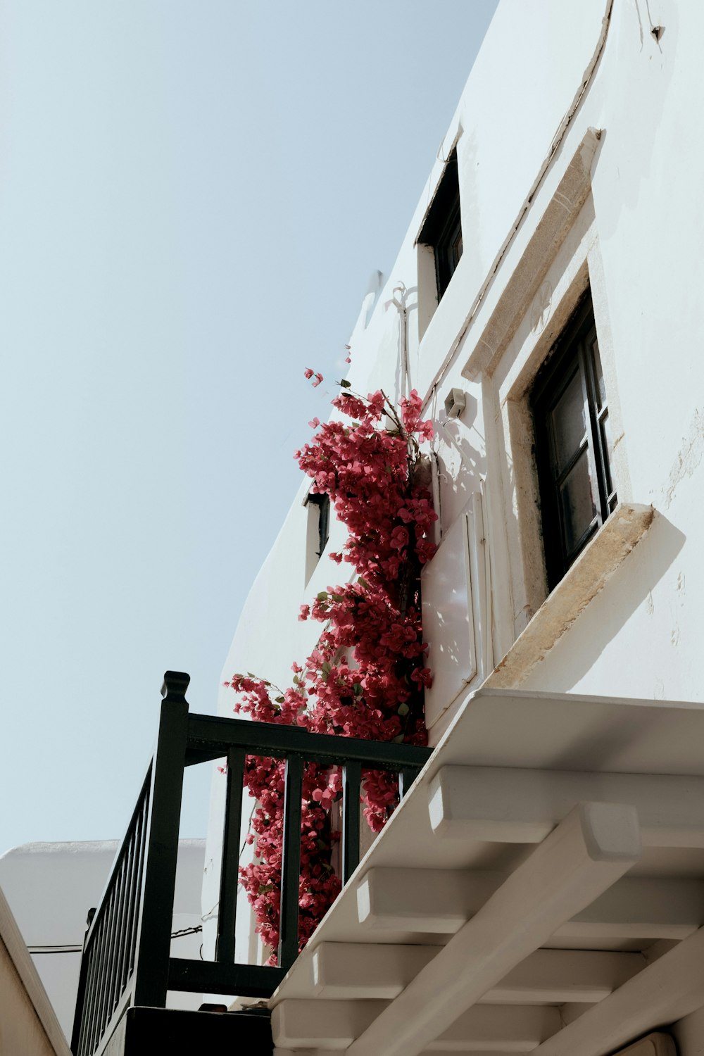 a white building with a black railing and red flowers on it