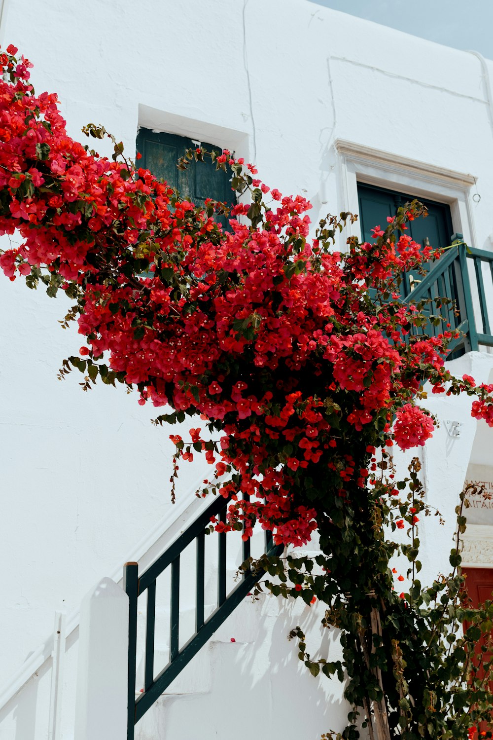 a white building with a bunch of red flowers on it