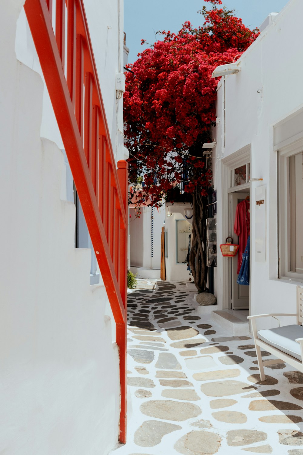 a white building with a red tree in the background