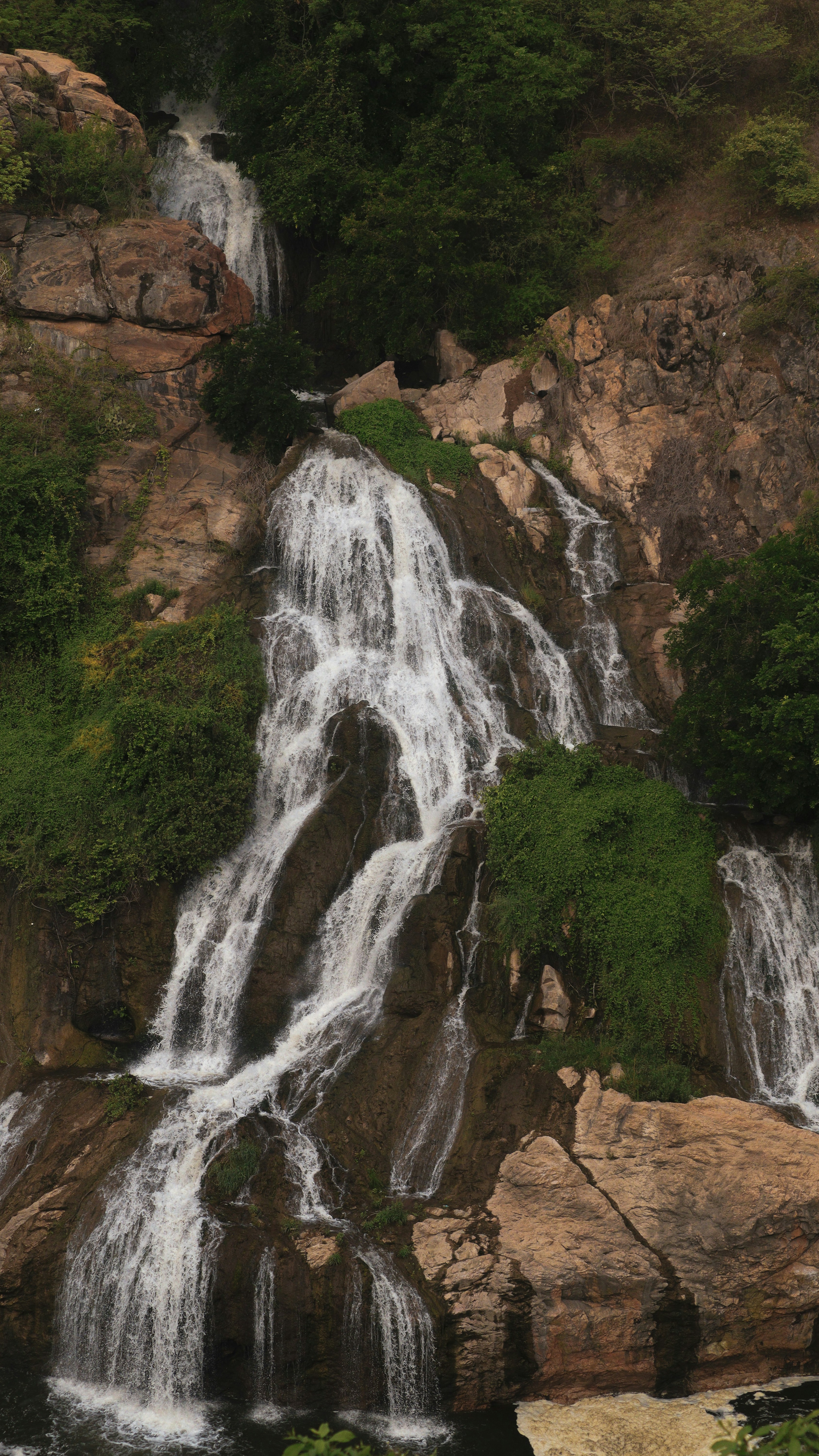 Photo by saravanan_sudalaimuthu