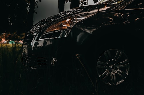 A dark, moody photograph depicting part of a car parked in a shadowy area, surrounded by tall grass and silhouetted against a dimly lit background. The focus is on the front and side of the vehicle, highlighting its shiny surface and details like the headlight and wheel.
