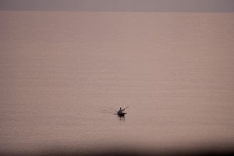 A lone kayak gliding across a misty lake at dawn with soft pastel skies