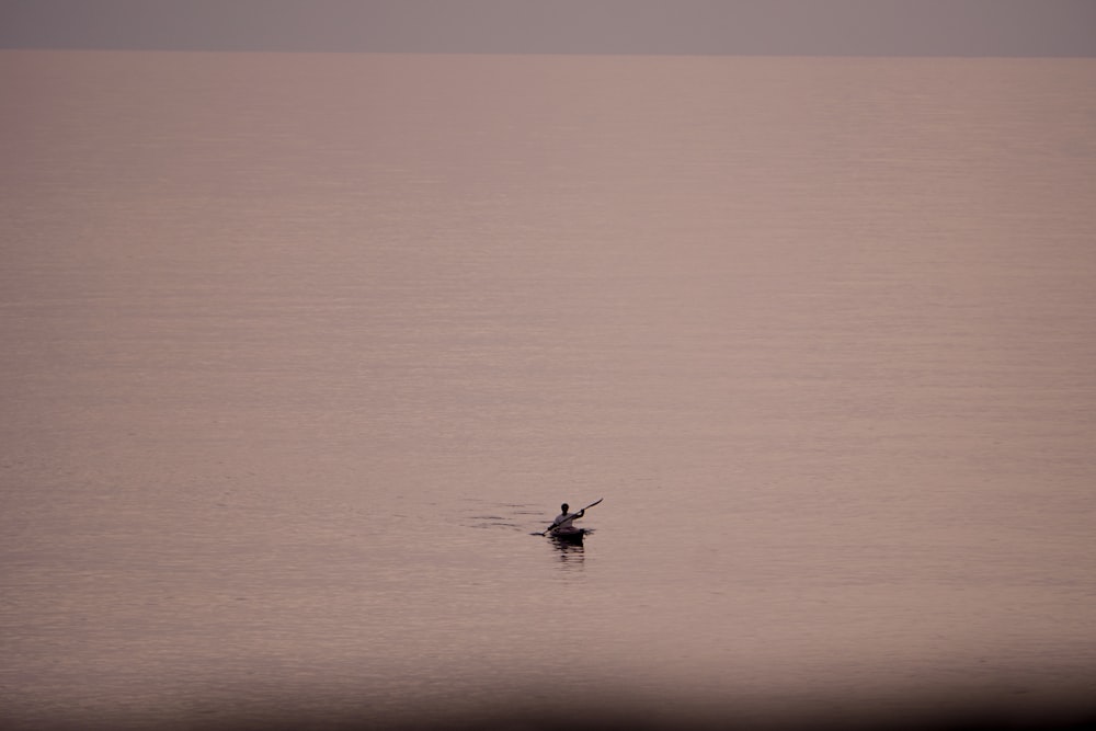 a lone bird floating on top of a body of water