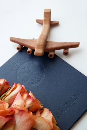 A celebratory moment with Indian students holding certificates after completing their aerospace course in Russia.