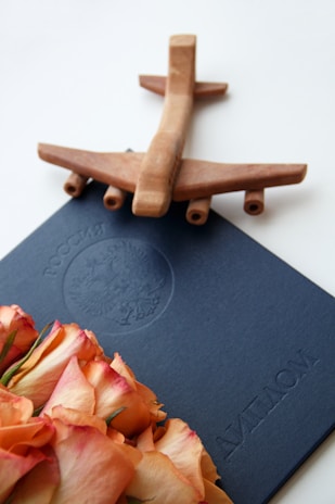 A wooden airplane model is placed on top of a blue document or diploma cover. In the foreground, there is a bouquet of peach and pink roses. The document has an embossed seal with Russian text.