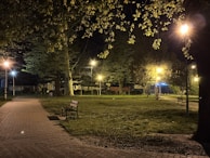 Nighttime view of the park with soft lighting illuminating walking trails and flower beds.