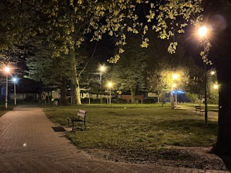 Nighttime view of the park with soft lighting illuminating walking trails and flower beds.