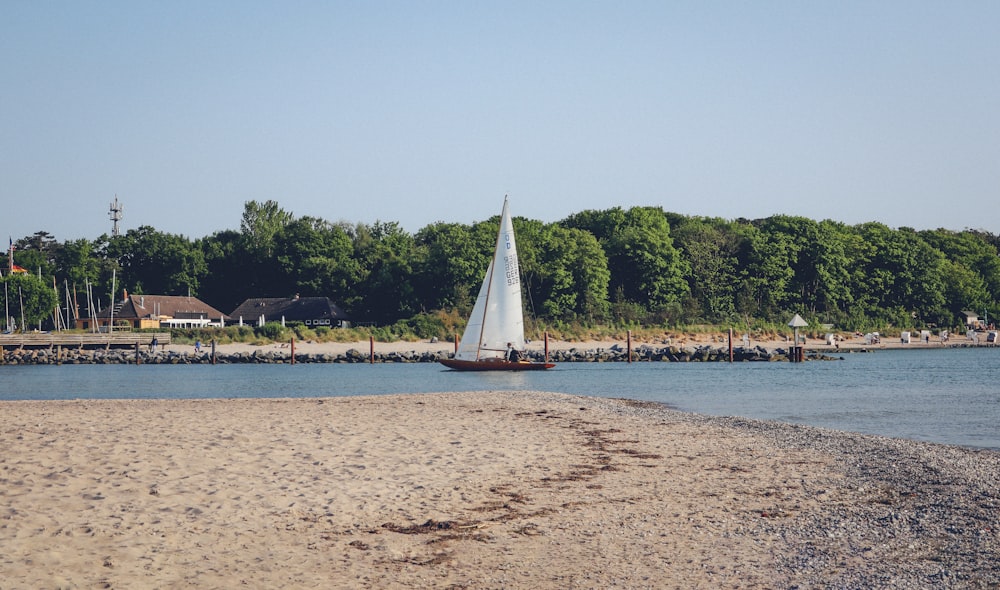 a sailboat on a body of water near a beach
