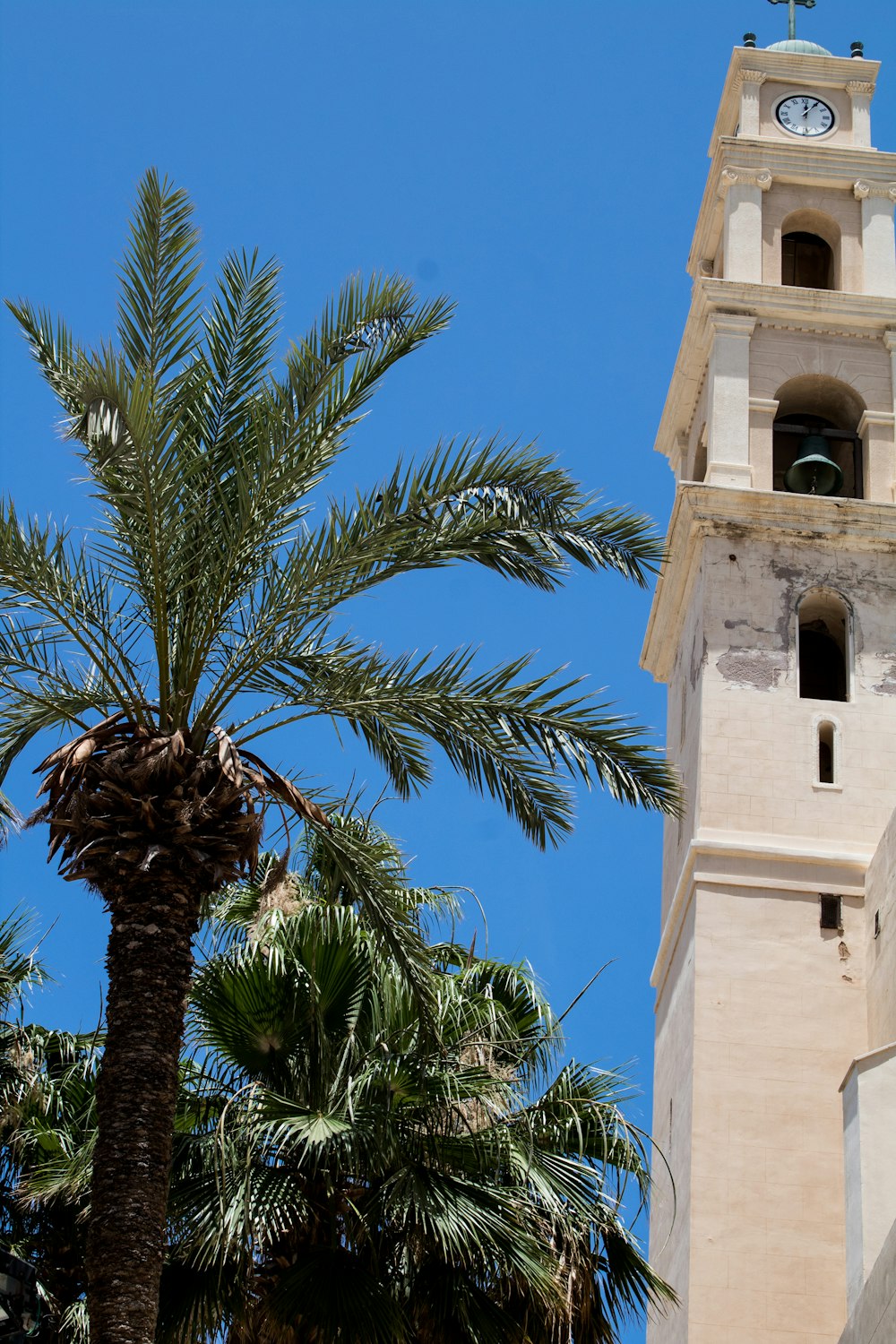 a tall tower with a clock on it next to a palm tree