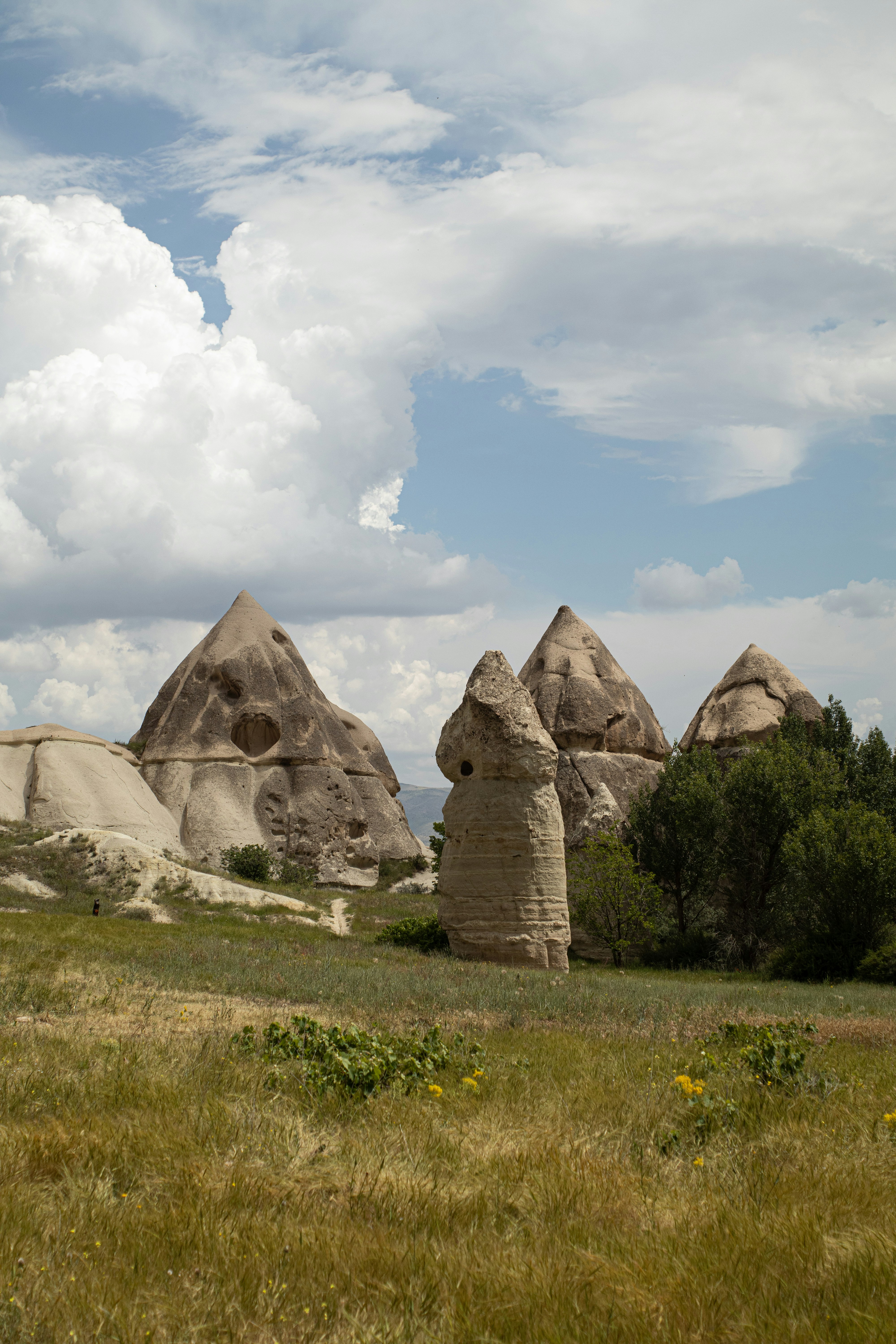 Photo by took_a_snap