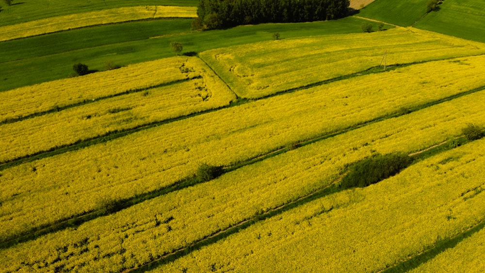 an aerial view of a field of green grass