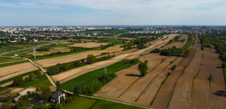 A panoramic view of lush agricultural fields blending into urban cityscapes.