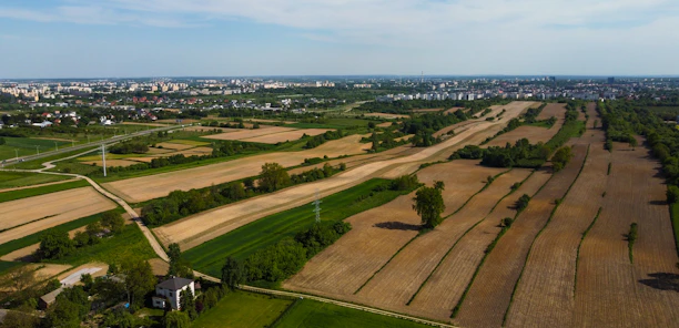 A panoramic view of lush agricultural fields blending into urban cityscapes.