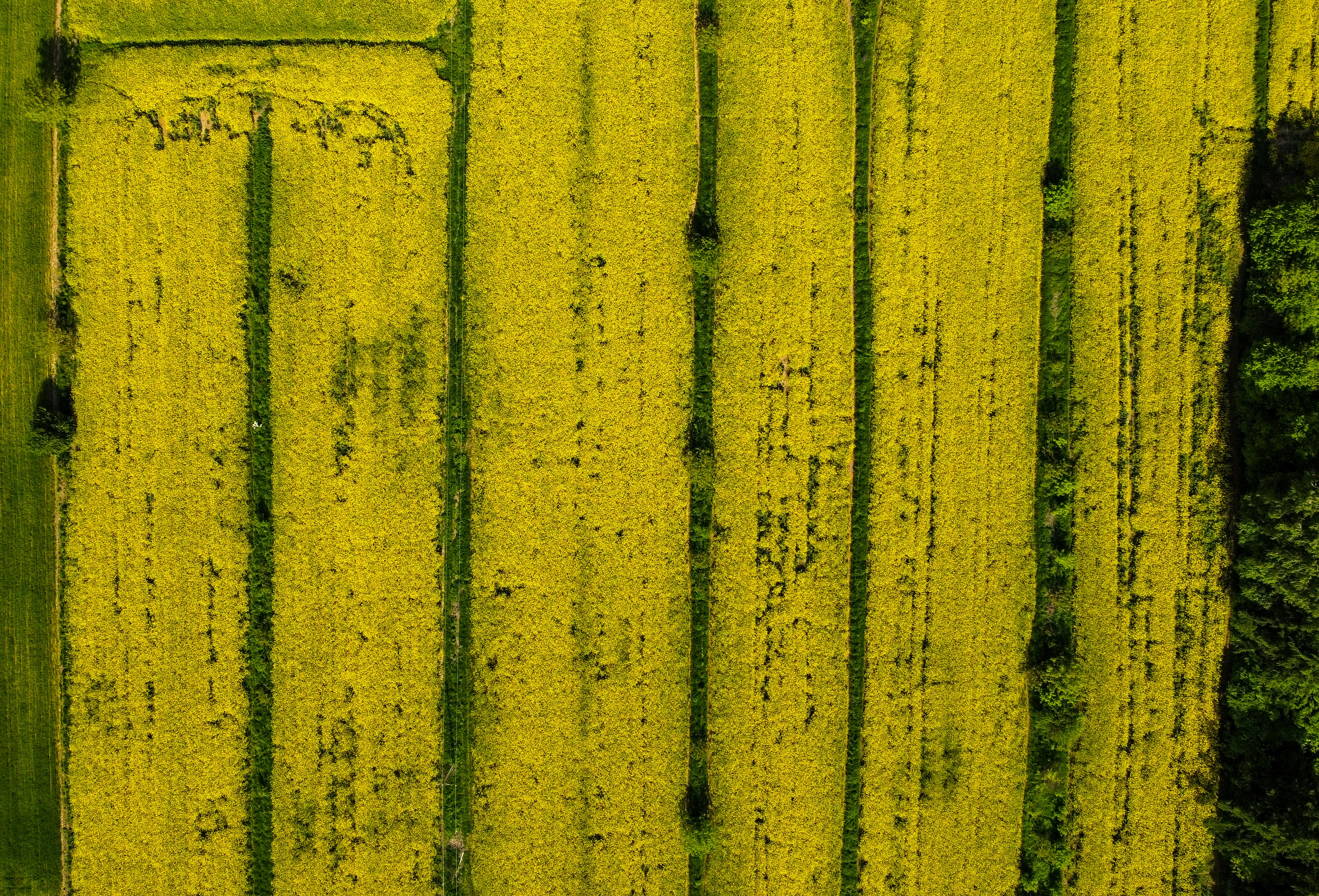 Photo by damianwyroslak