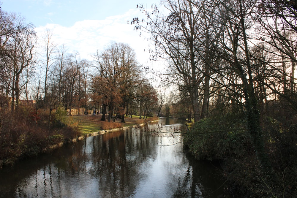 a body of water surrounded by trees and grass