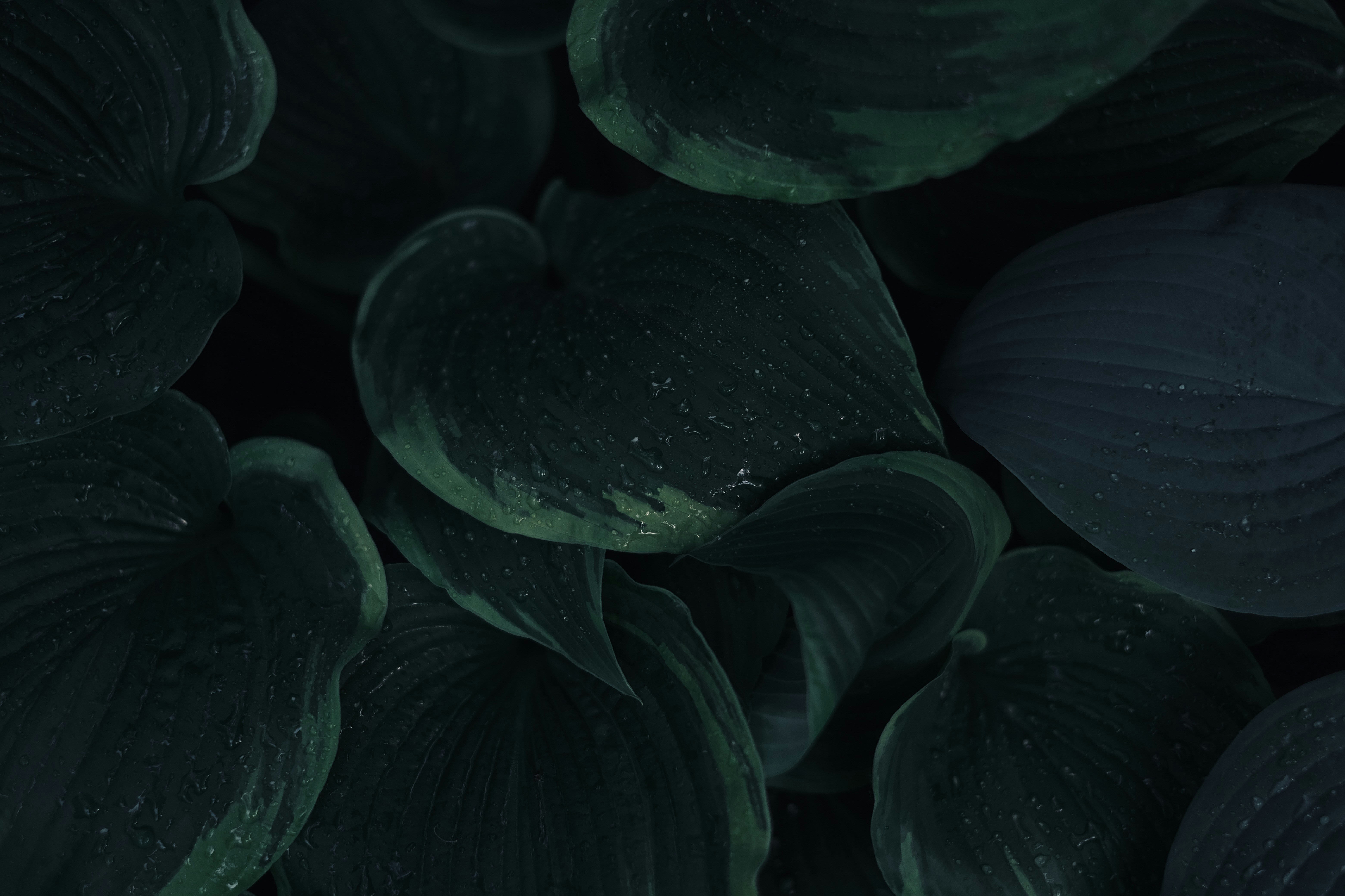 Photo by mkrawczynski