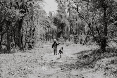 A whimsical scene of a little girl and her puppy exploring a forest filled with talking animals.