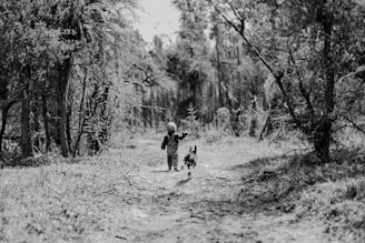 A serene moment of a family walking their dog along a tree-lined path