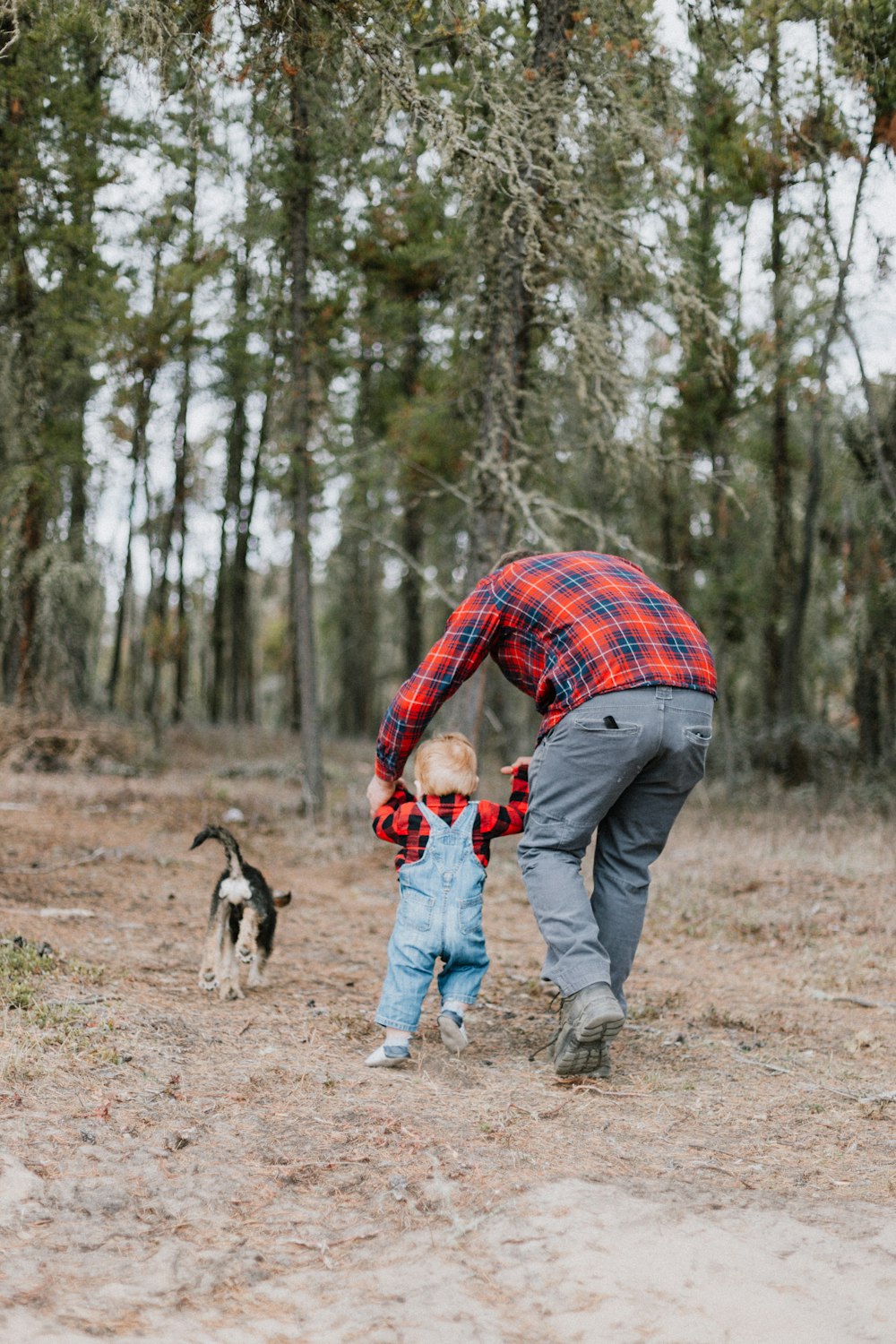 um homem e uma criança brincando com um cachorro na floresta