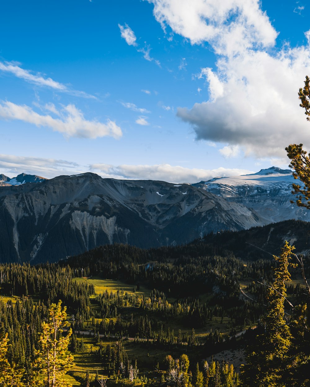 a scenic view of a mountain range with trees in the foreground