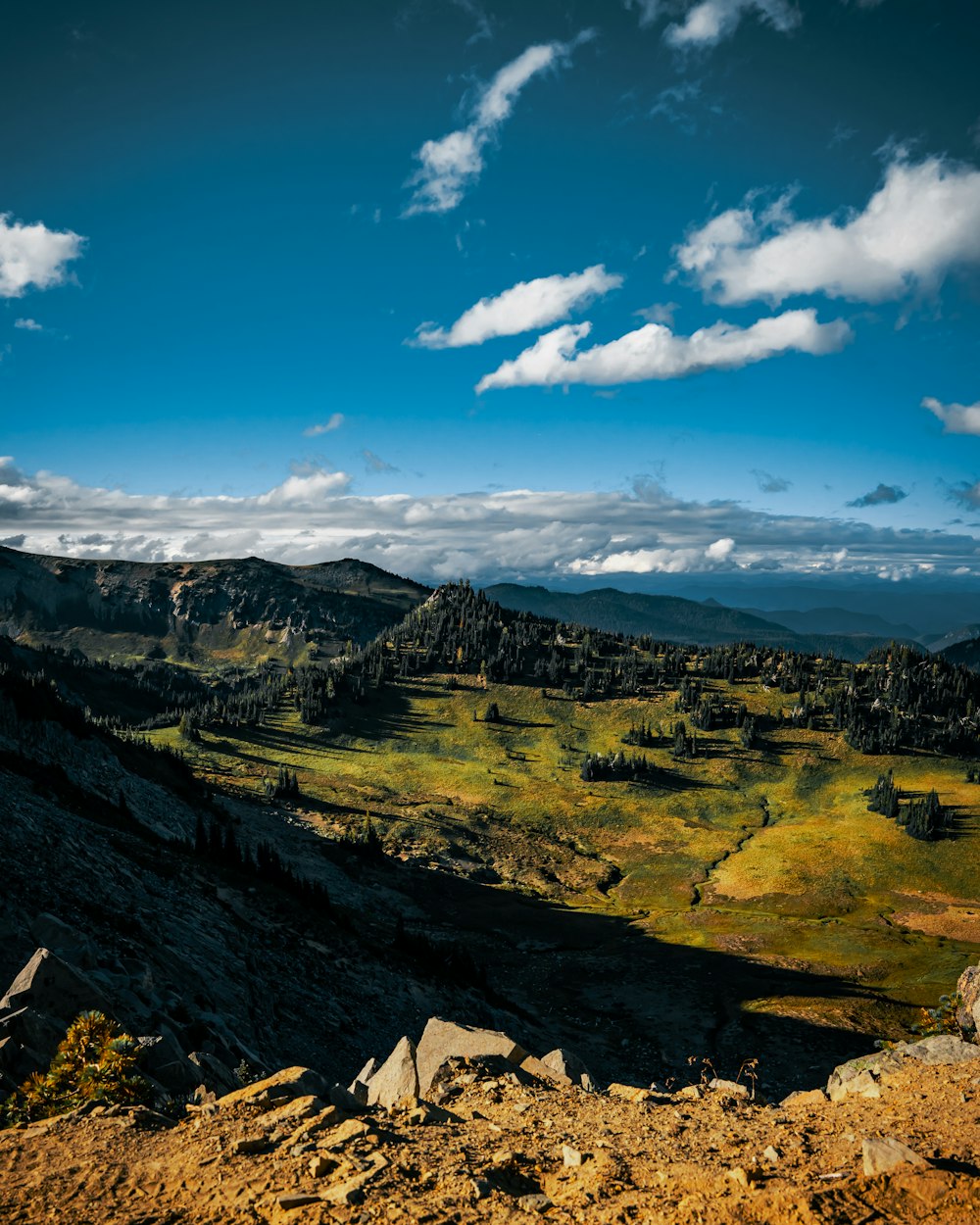 a scenic view of a valley with mountains in the background