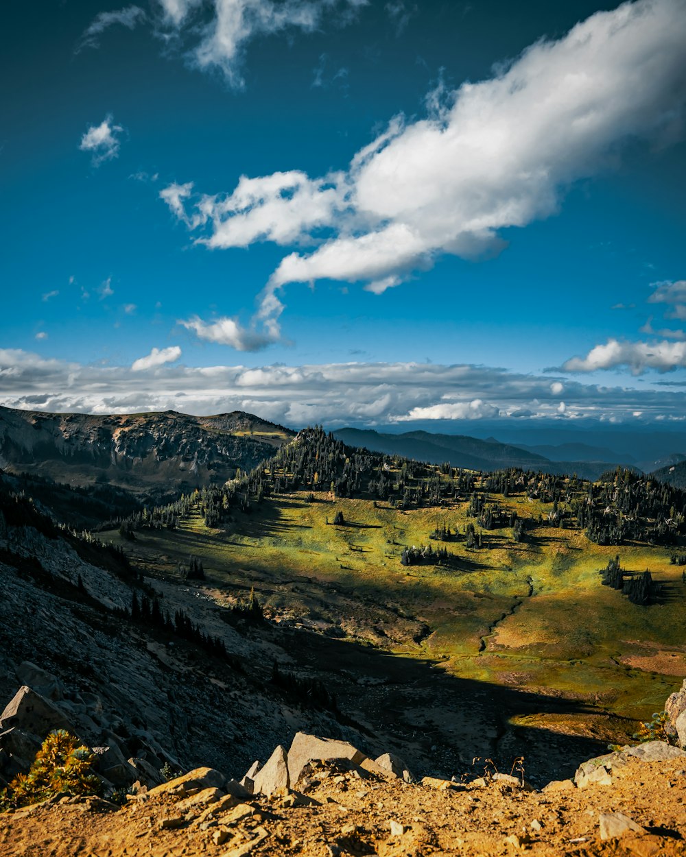 a scenic view of a valley with mountains in the background