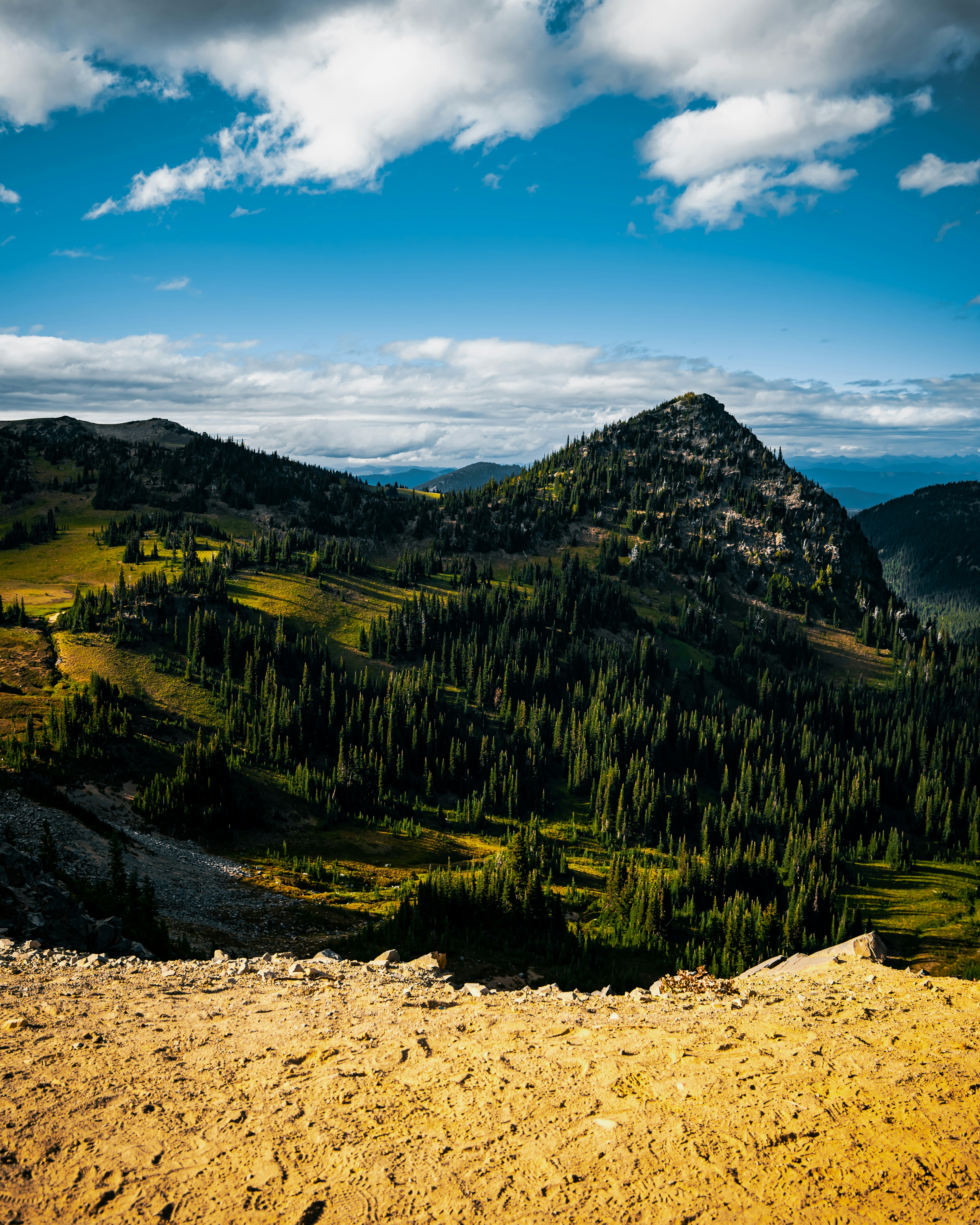 a scenic view of a mountain range with trees