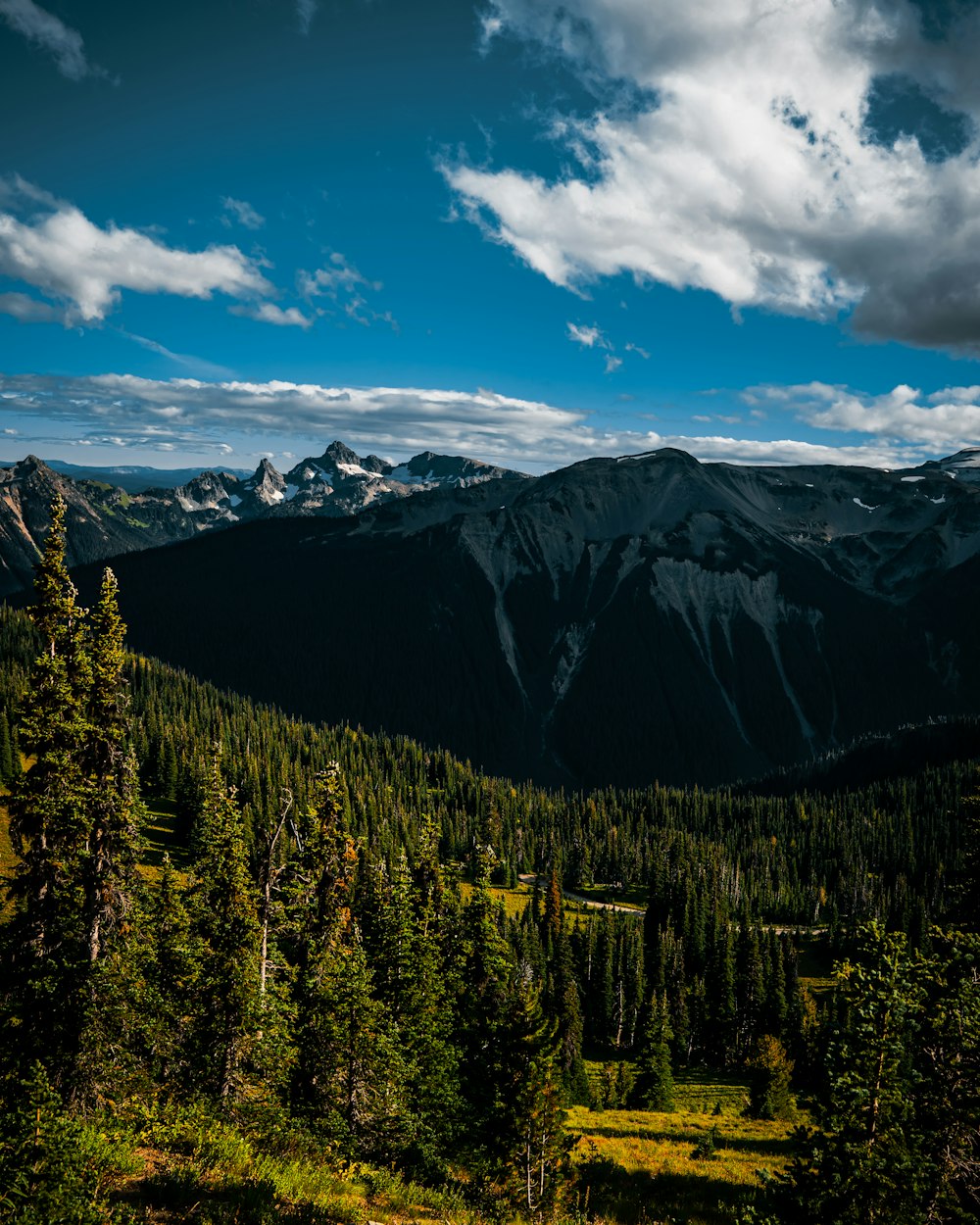 a view of a mountain range with trees and mountains in the background