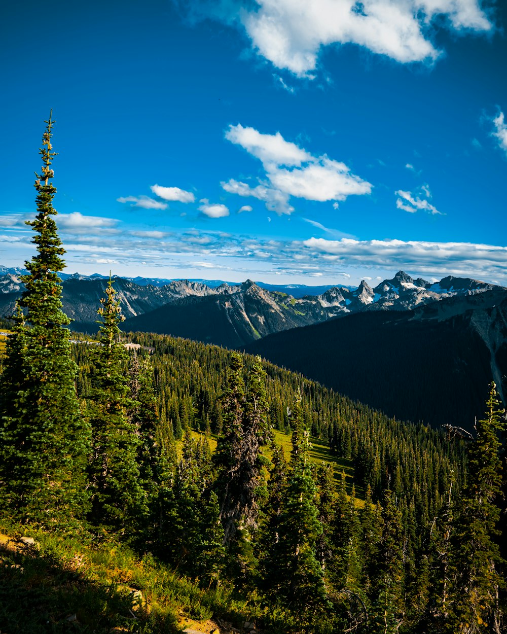 a view of a mountain range with trees and mountains in the background