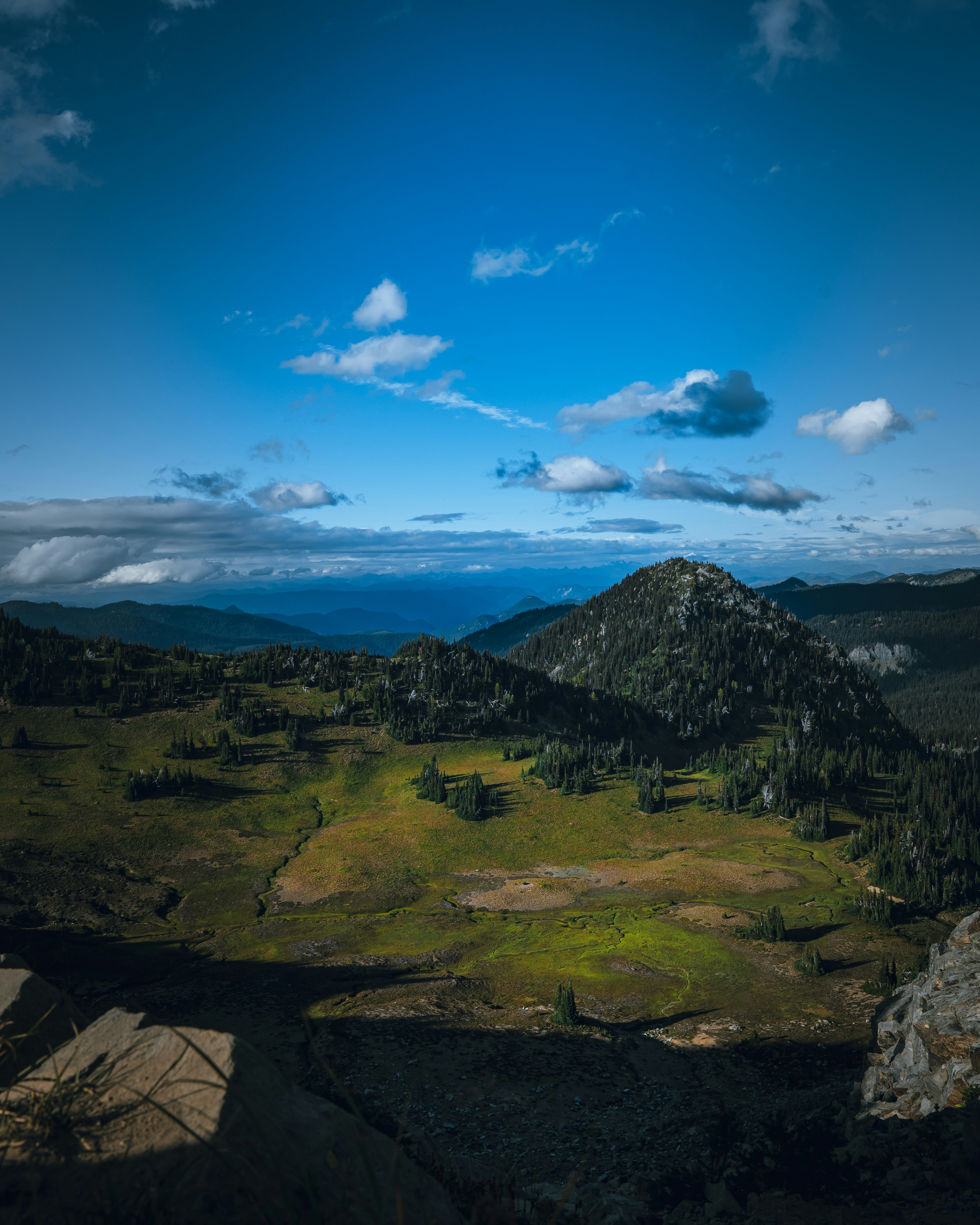 a view of a grassy field with a mountain in the background