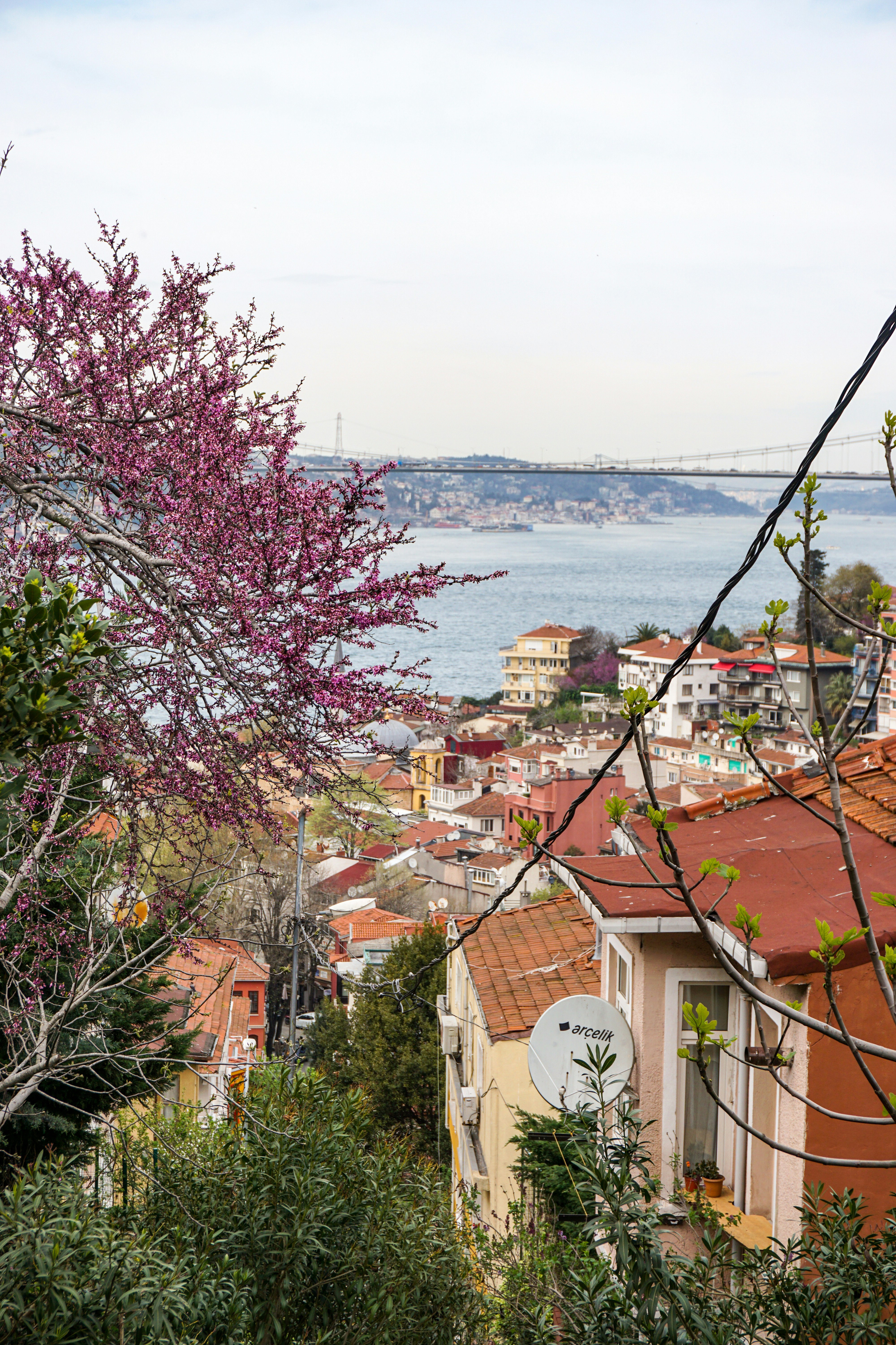 Photo by curiouscaptures