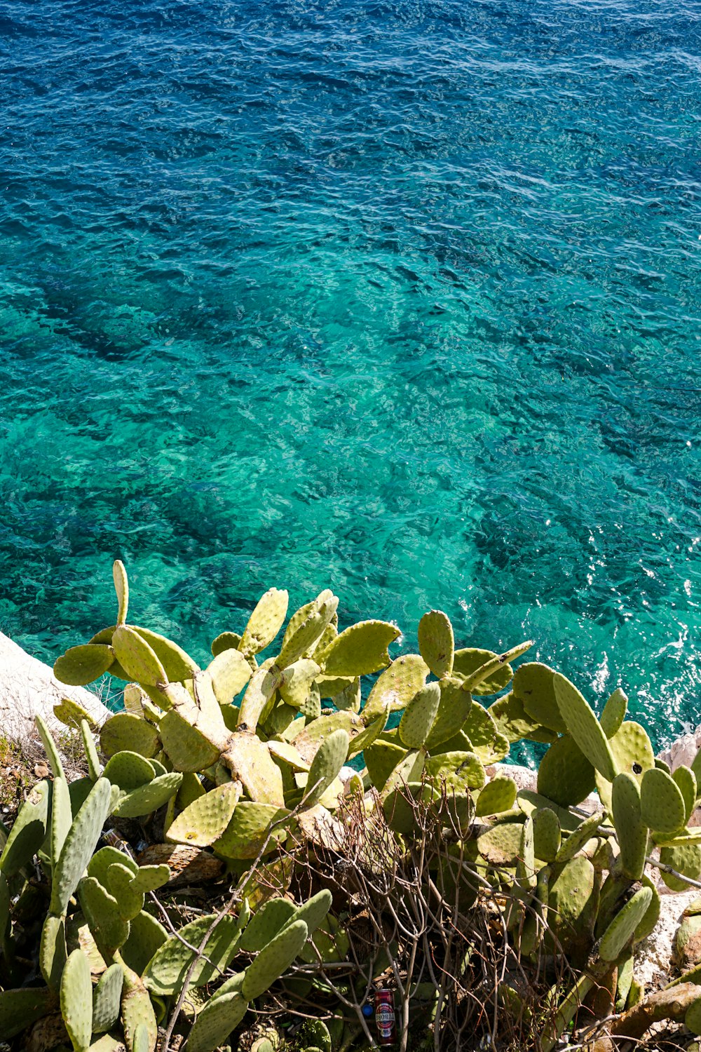 a view of a body of water from a cliff