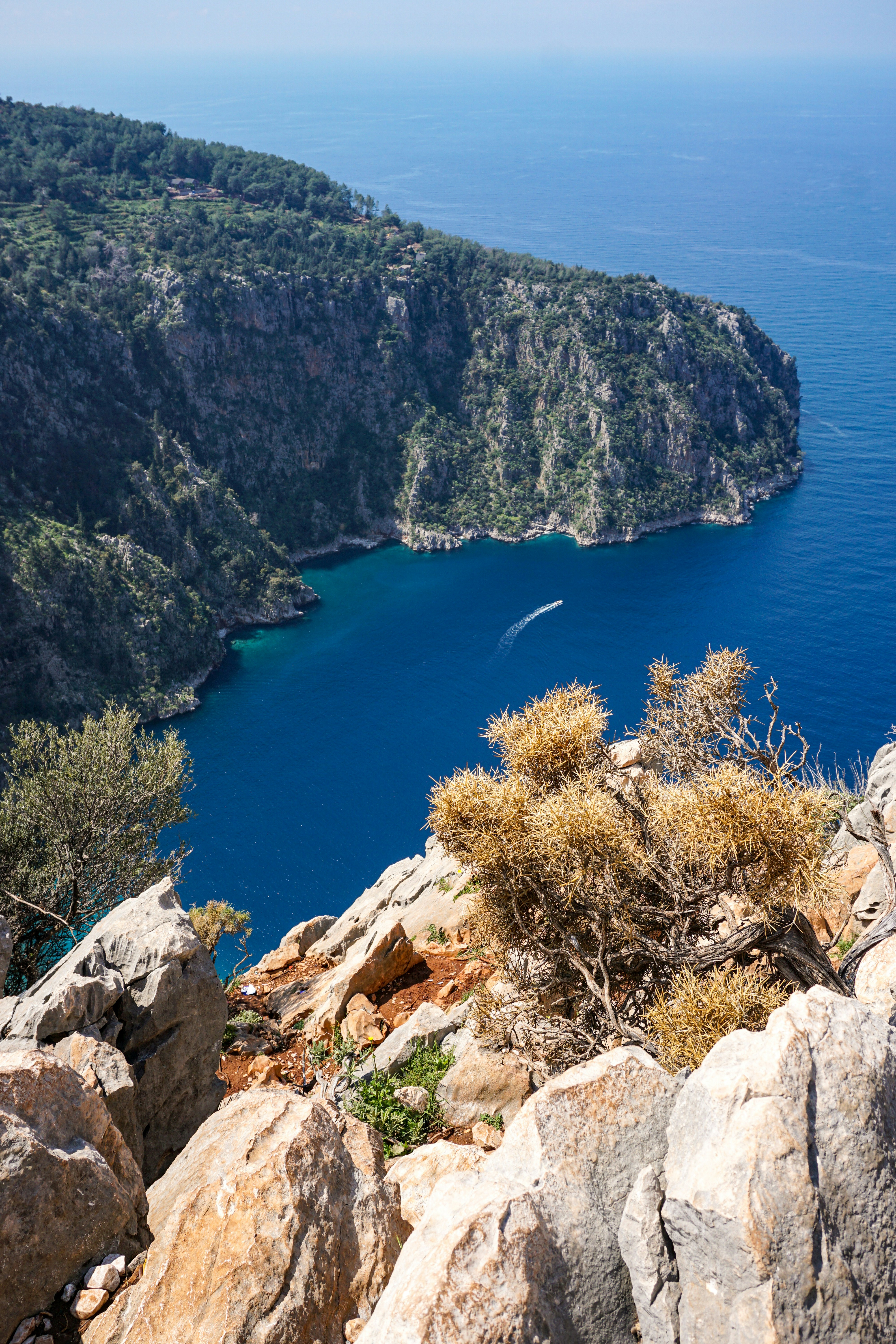 Photo by curiouscaptures