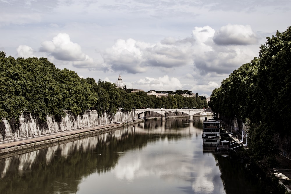 a body of water surrounded by trees and a bridge