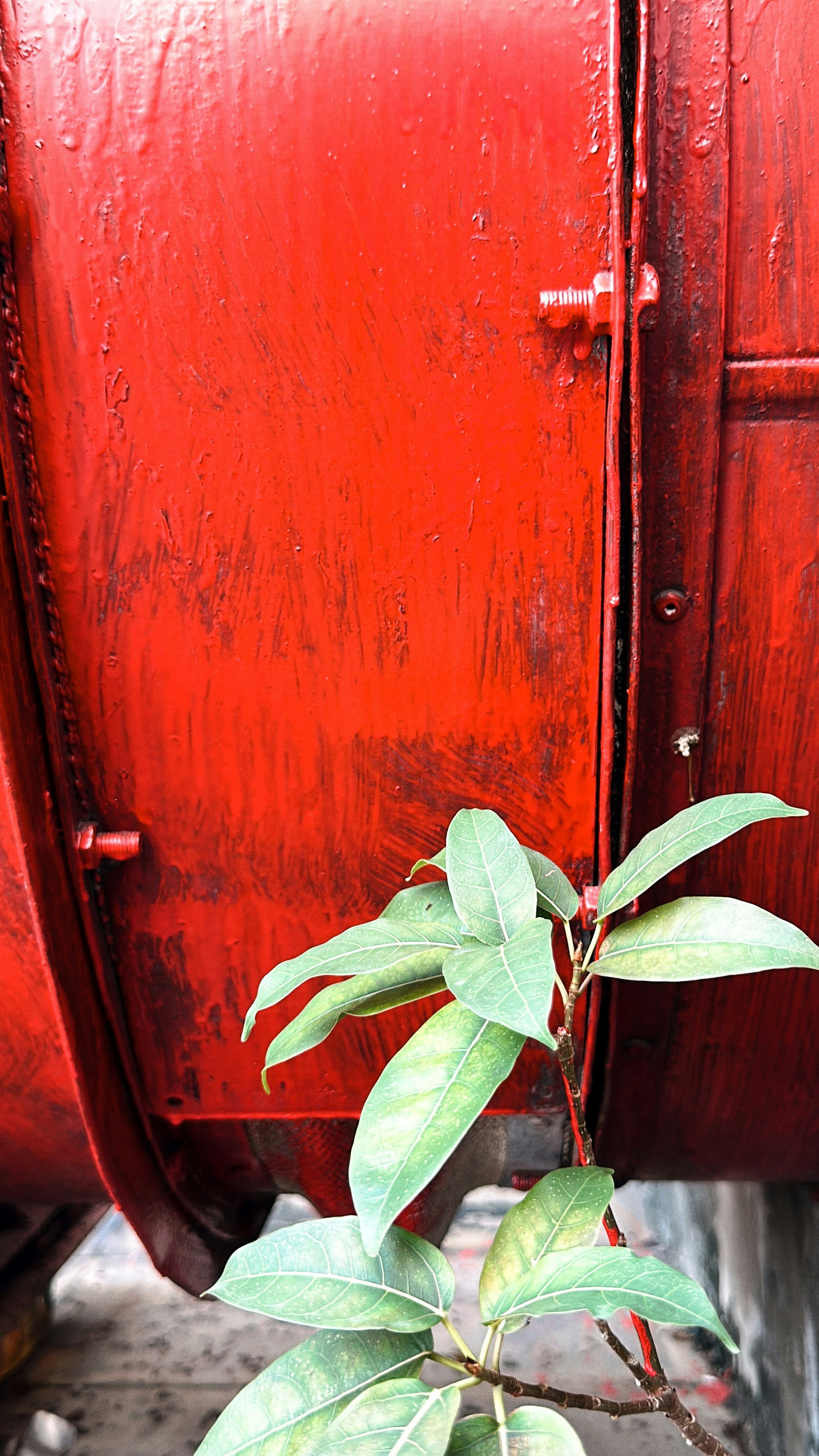 Industrial Strength Pump