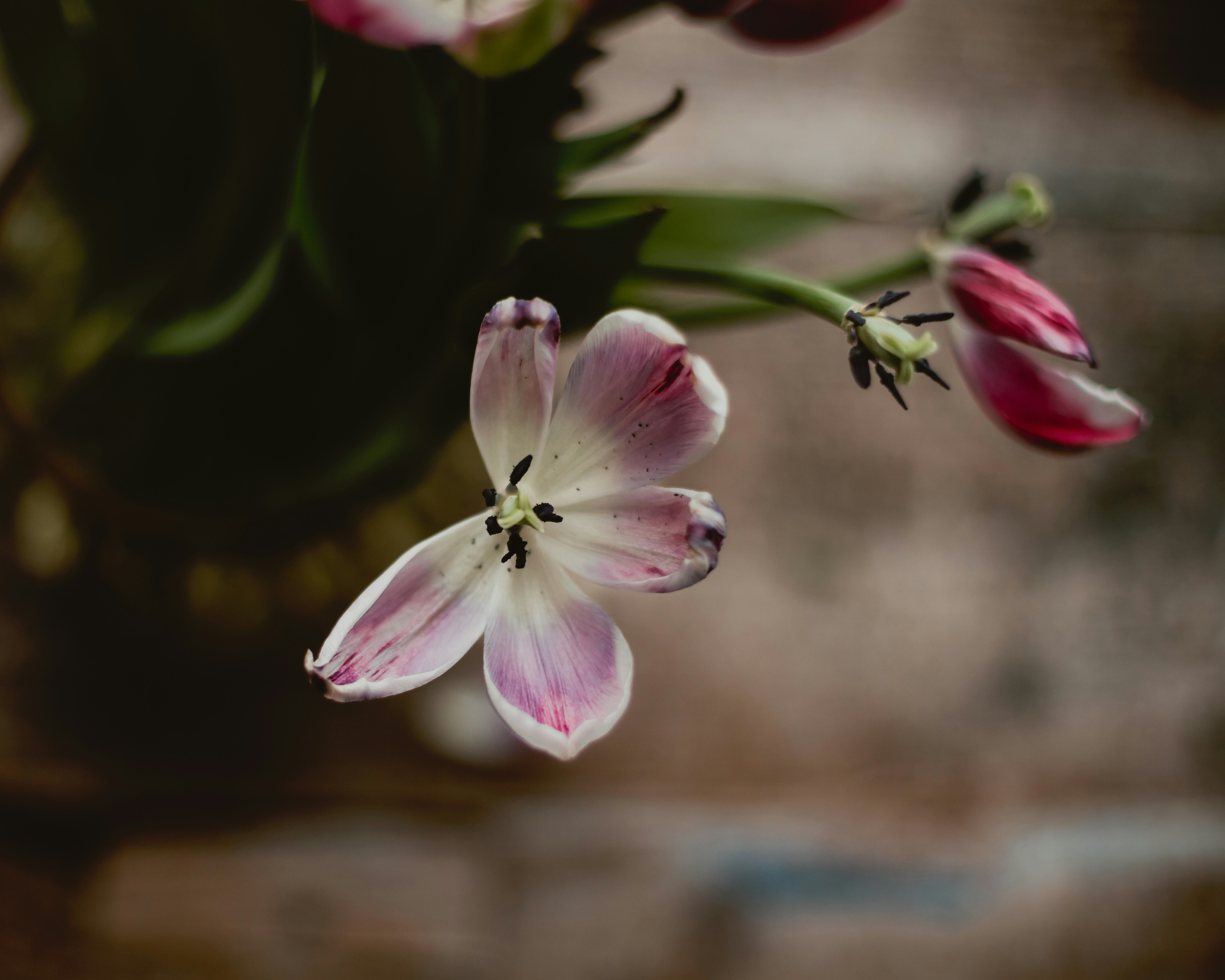 Photo by sixteenmilesout