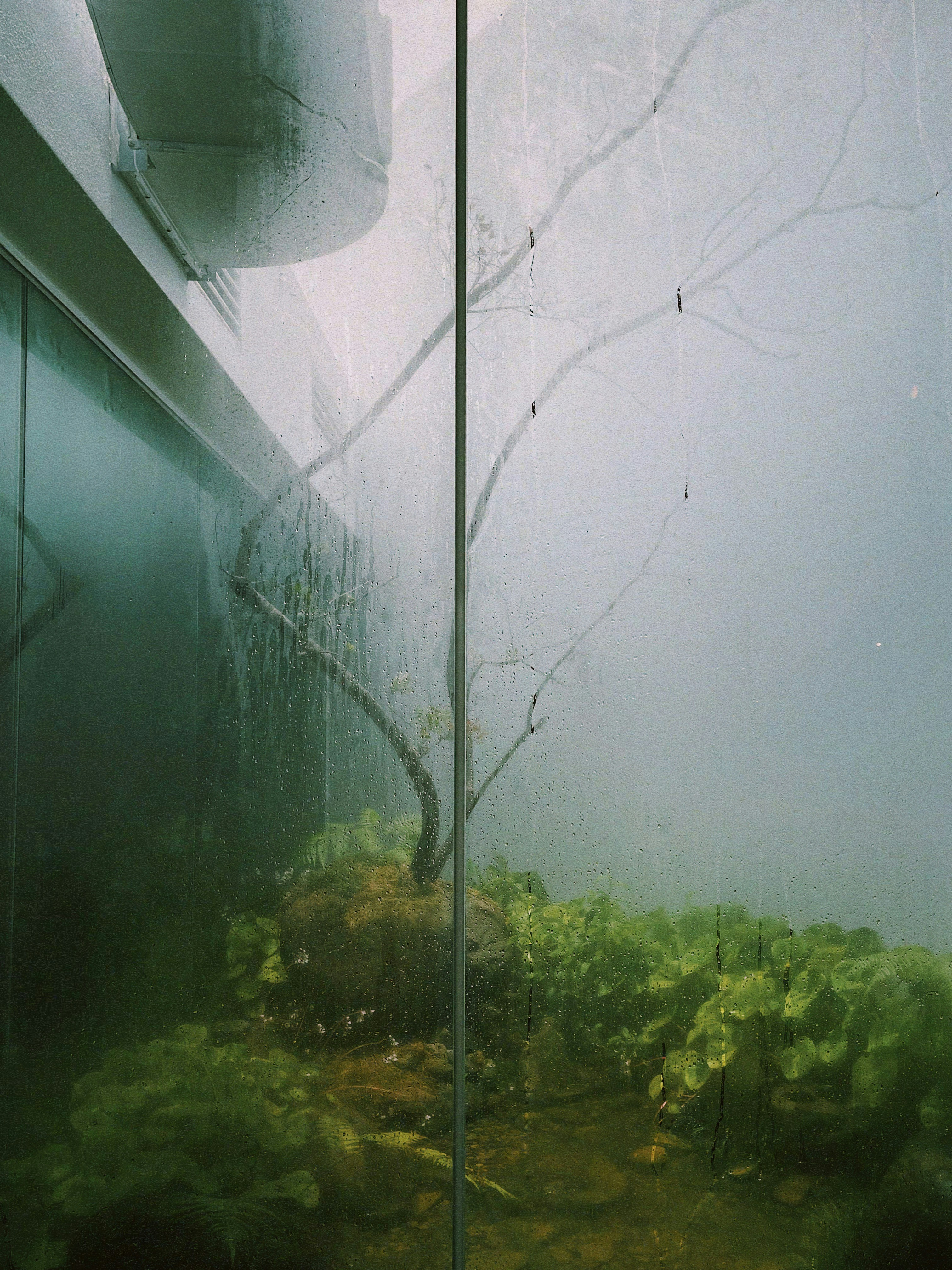 an aquarium filled with plants and water next to a wall
