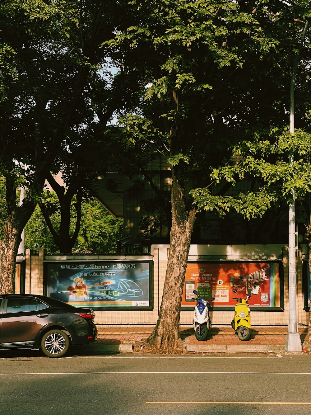 a car parked on the side of a road next to a tree