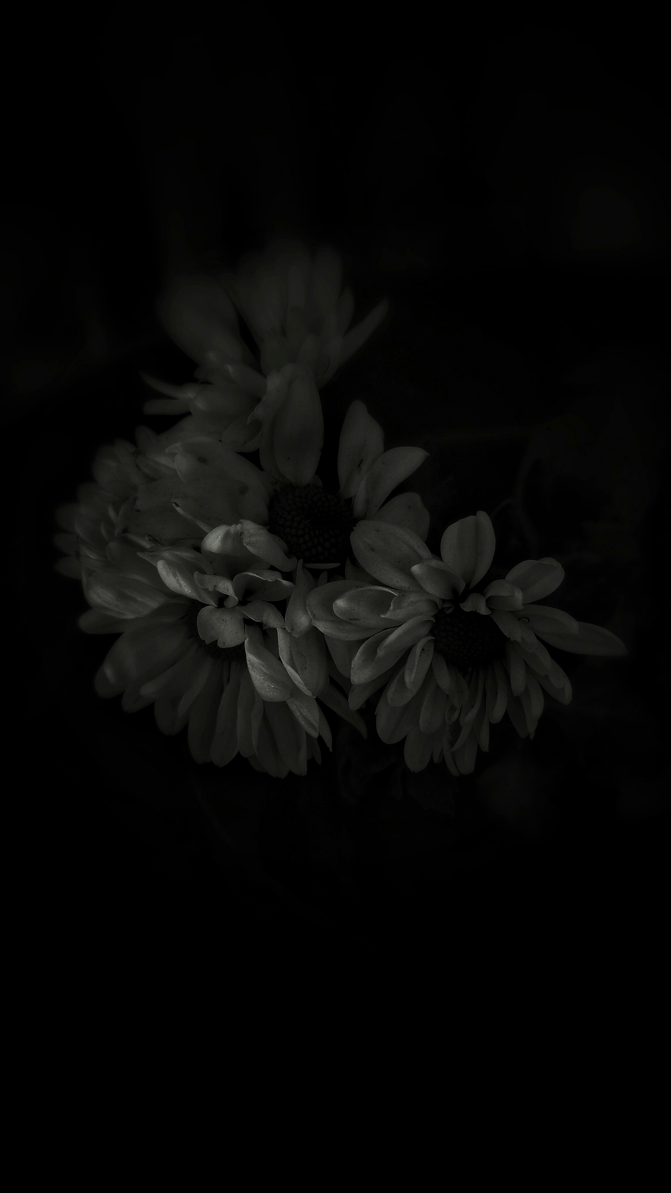 Photo by rena10