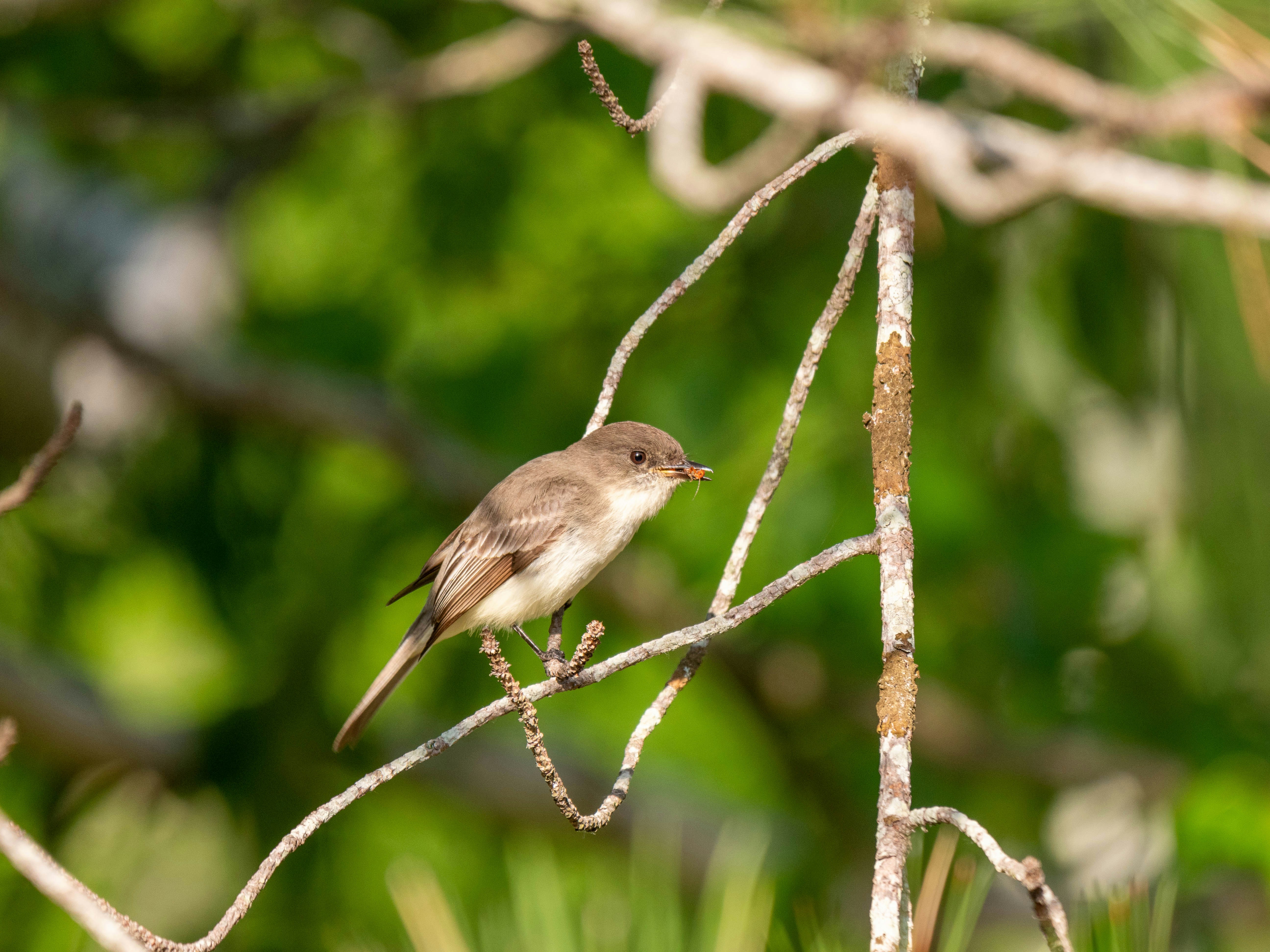 Photo by gabrielalmanzar