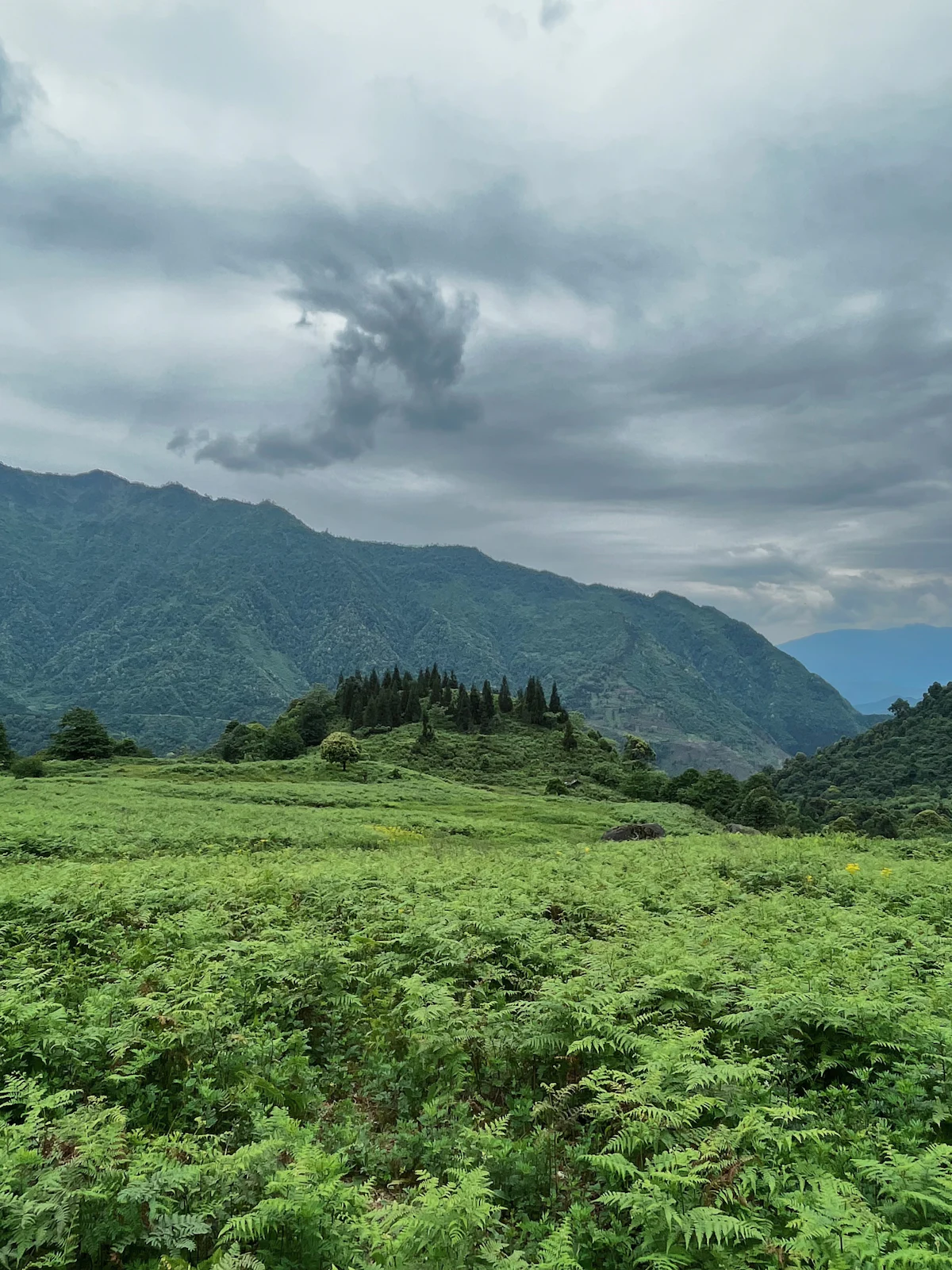 Ukhrul