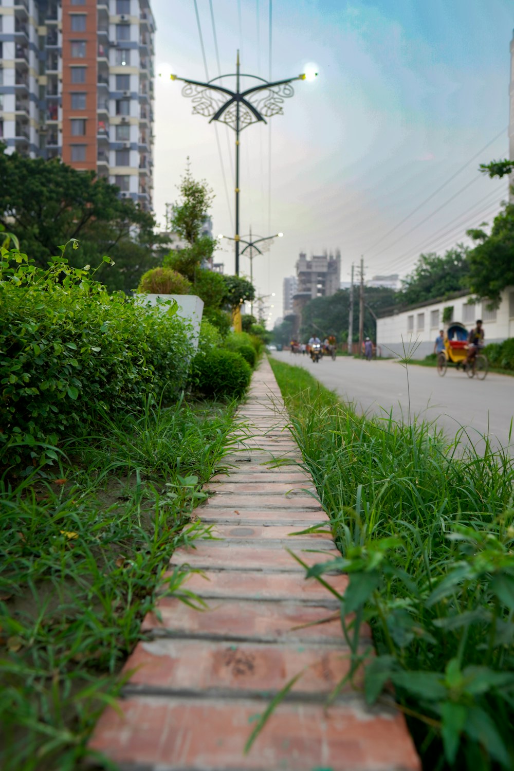 a brick path in the middle of a grassy area